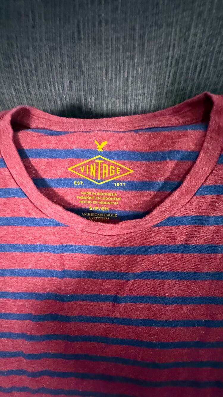 American Eagle Outfitters Vintage Striped Crewneck Short Sleeve T-Shirt - Picture 2 of 2